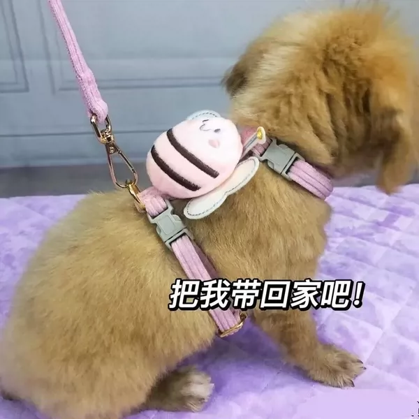 Товары от 家有萌宠馆