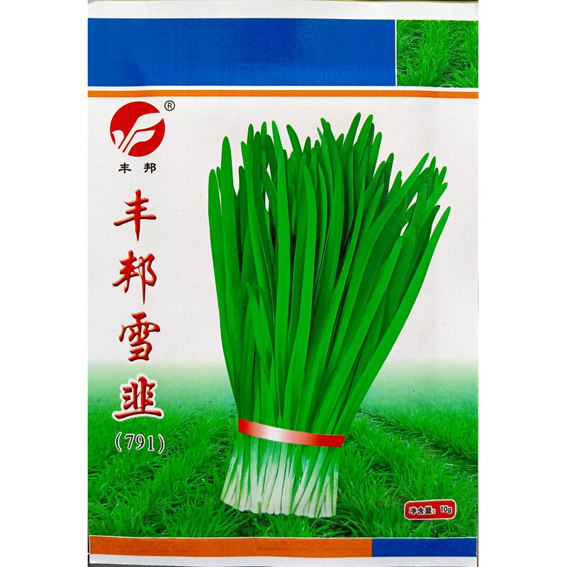 Fengbang snow chive seeds 791 chive seeds heat-resistant and cold-resistant for many years harvesting green Fengyuan 10g 1000 grains