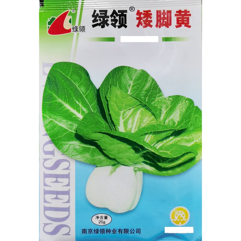 Green collar short feet yellow seed rabbit leg vegetable vegetable seed spring and autumn sow 20 grams