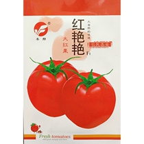 Red bright tomato seeds 903 big red fruit red-skinned tomatoes early-maturing high-yield vegetable seeds sow about 100 grains in spring and summer