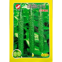 Three-season cucumber seeds green heart green flesh green meat long cucumber vegetable seeds original seed spring summer and autumn sowing 100 grain bags