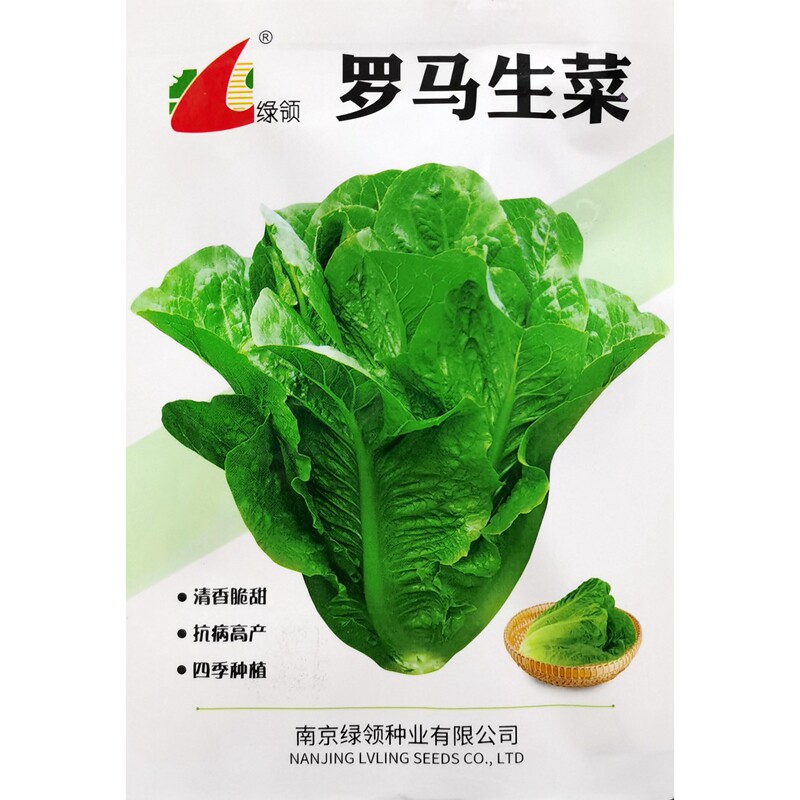 New Romaine lettuce seeds are easy to plant without attracting insects, cold and heat resistant, sowing 5 grams in four seasons