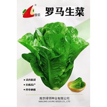 Peacock seed New lettuce seed planting easy not to catch insects cold-resistant heat-resistant Four Seasons sowing 5 grams of 3000 grains