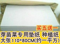 ya cai pan dedicated pad paper planting paper sprouts hair sprouts sprouts ya miao pan large seedling paper buy 5 Send 1