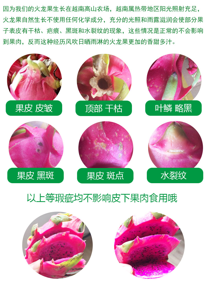 策括越南红心火龙果6个2400克约5斤装 新鲜水