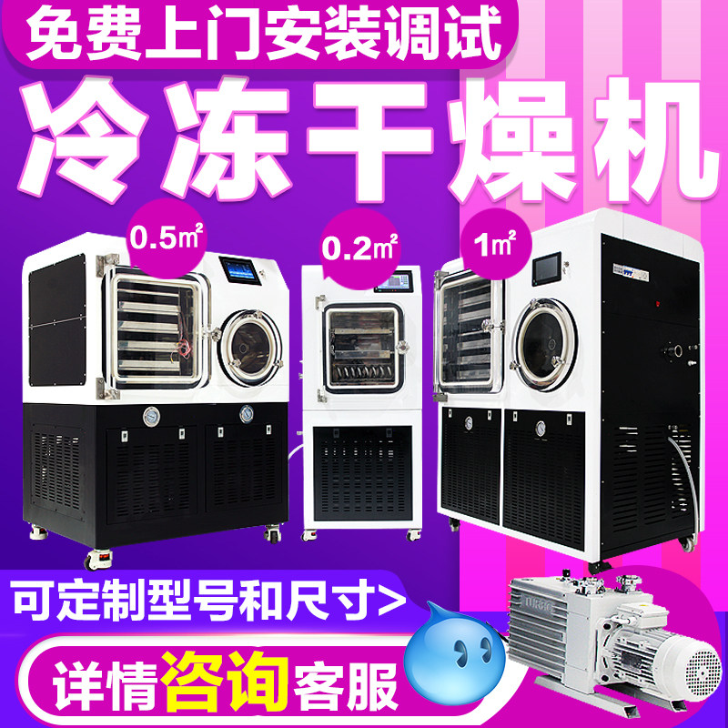 上海叶拓冻干机YTLG-100F原位真空冷冻干燥机实验室中式0.5/1平方