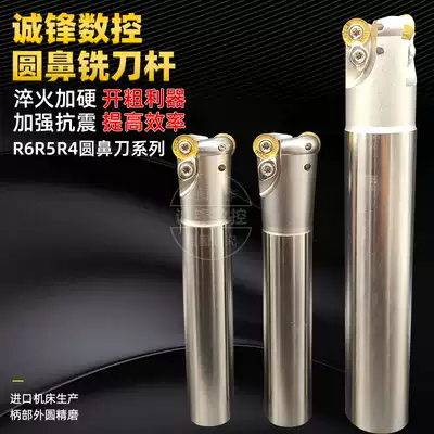 High strength hardened R6 milling cutter Rod 1204 round cutter Rod EMRW6R seismic R4 R5 R6 round nose cutter milling machine