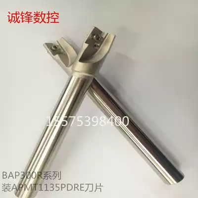 Long Rod right angle milling cutter BAP300R-21-C20-250 300 non-standard milling cutter Rod milling cutter shaft