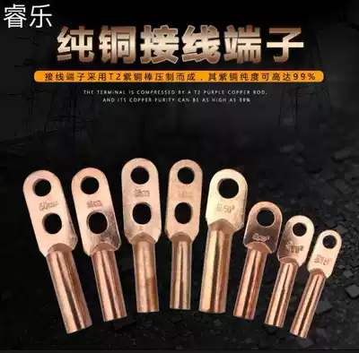 DT-25 square national standard copper wire nose Copper terminal Copper wire ear cable oil plugging copper connector double hole cold pressing