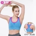 Guidan Erqi áo ngực thể thao chống sốc chạy làm đẹp trở lại đồ lót nữ ống hàng đầu kiểu áo vest thu thập mà không có vòng thép yoga Đồ lót thể thao