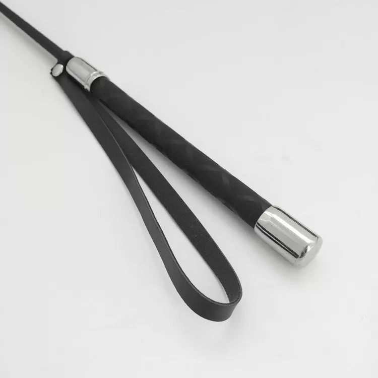 Training the whip, the horse whip, the whip, the dog, the dog, the dog