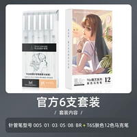 Официальная шестибранная инсталляция+T6S Color Skin Twelen