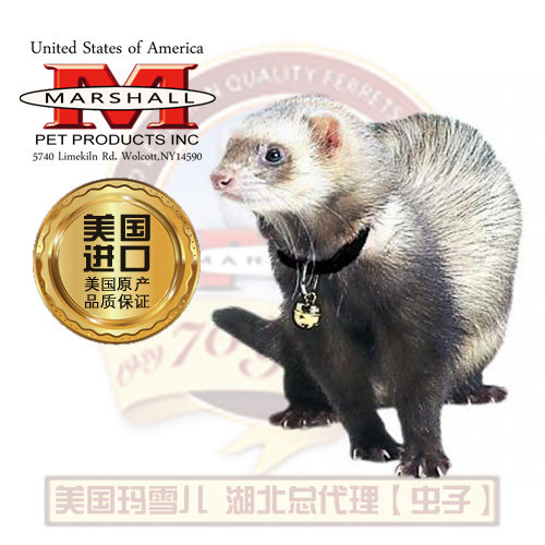 MARSHALL USA MARXELL BRAND Ferrets Pet Minke Ring Bells Ring Bells
