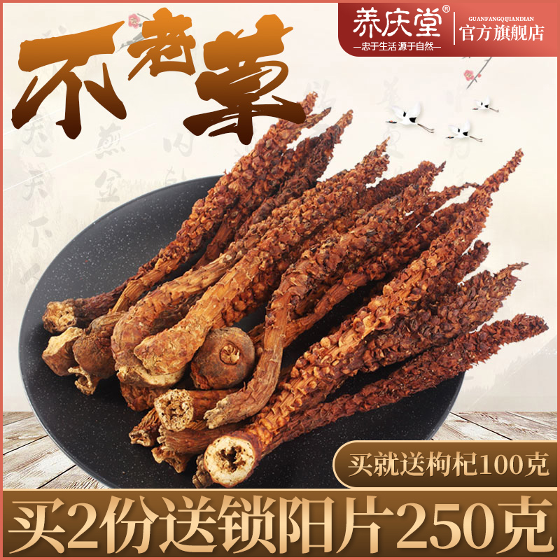 Yangqingtang Bulao grass 100g gram soaking water with grass cistanche stew chicken pot soup liedang soaking wine material Changbai Mountain rejuvenation grass