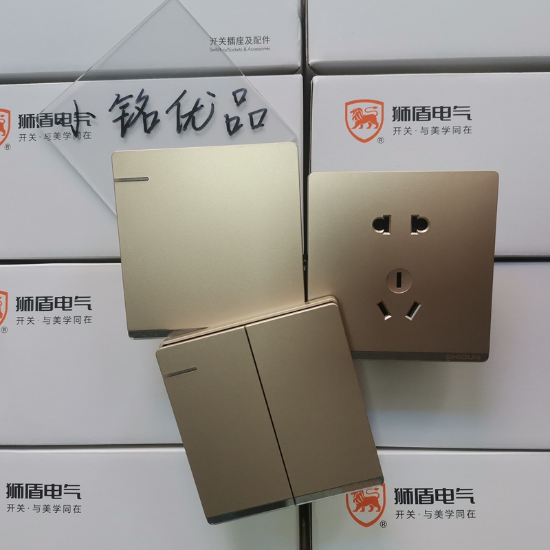 Lion Shield X5 Gold Switch Large Panel Socket Concealed Single Control Dual Control Computer Air Conditioner One Open Five Holes Genuine USB