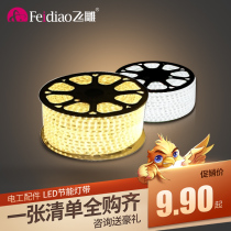 Fly sculpted LED light with living room ceiling line lamp lighting strip 220V patch outdoor super bright waterproof white light light strip