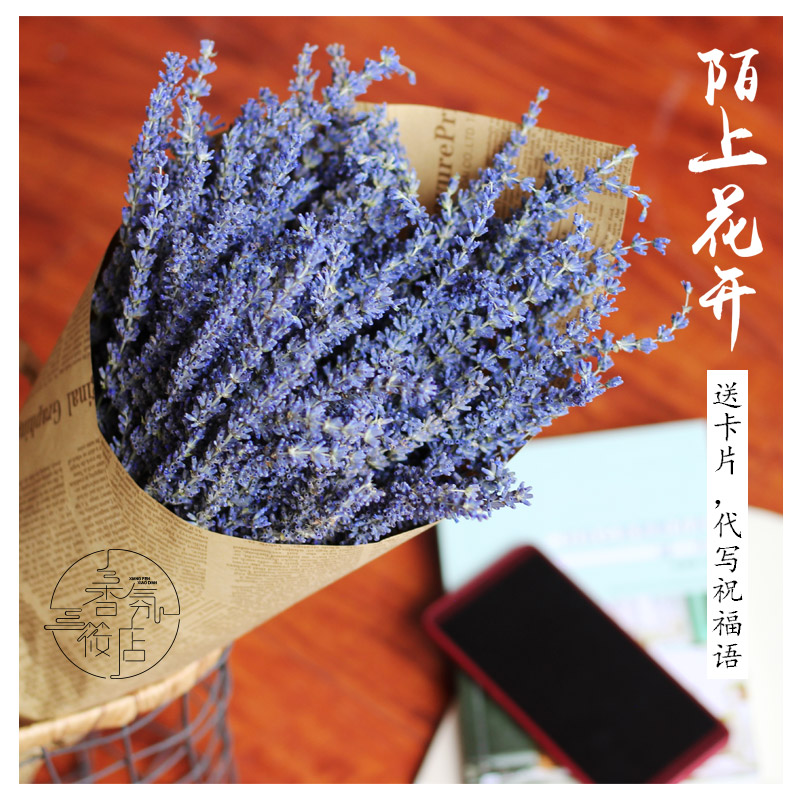 Xinjiang Iplow Lavender Hay Dried Flower Bouquet Living Room Smoked Grass Home Decoration Furnishing with Genuine Flowers and Sleeping Aids Sleeping Little Qingxin-Taobao