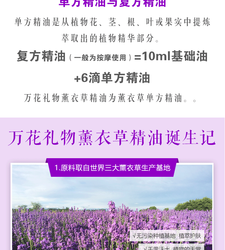 Tân Cương Yili Cao nguyên tinh dầu oải hương 50ml Tinh dầu đơn phương Cây tinh dầu giúp ngủ Wanhua Quà tặng - Tinh dầu điều trị tinh dầu long não