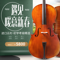 Zoyan Import Cloud Cedar Cello Upscale Handconfectionné Solide Wood Beginology Cello adulte Eustock Grade Cello