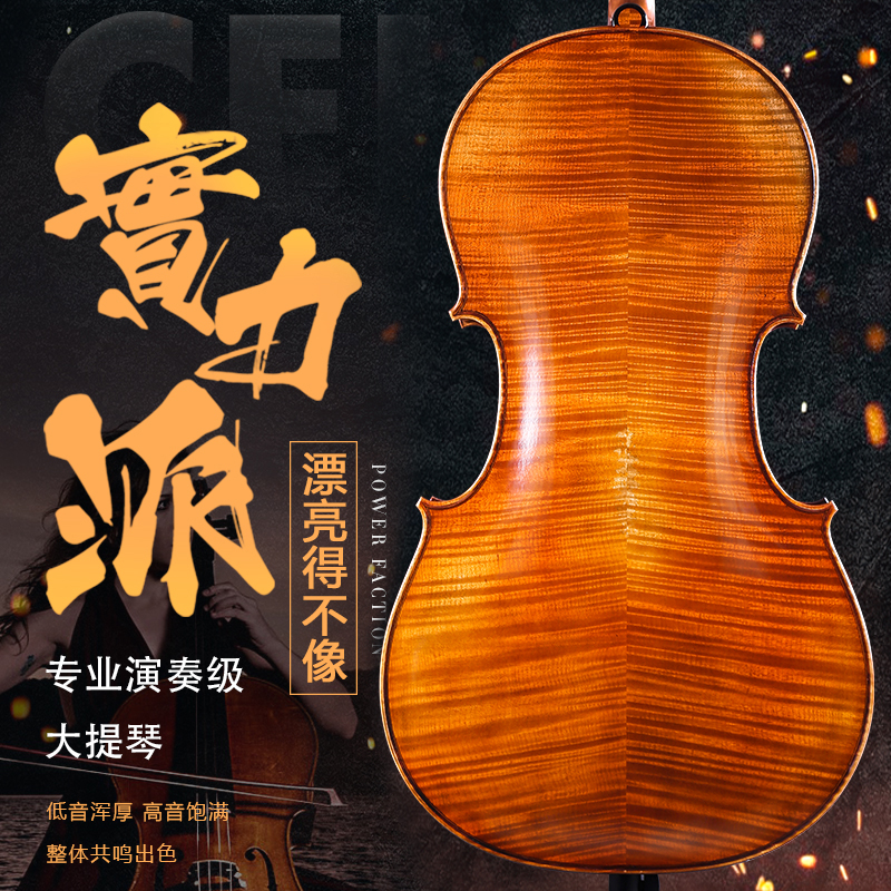 Zoyan Imported Spruce Handmade Solid Wood Performance Verification Examination Special European Material Cello Delivery Carbon Fiber Piano Box