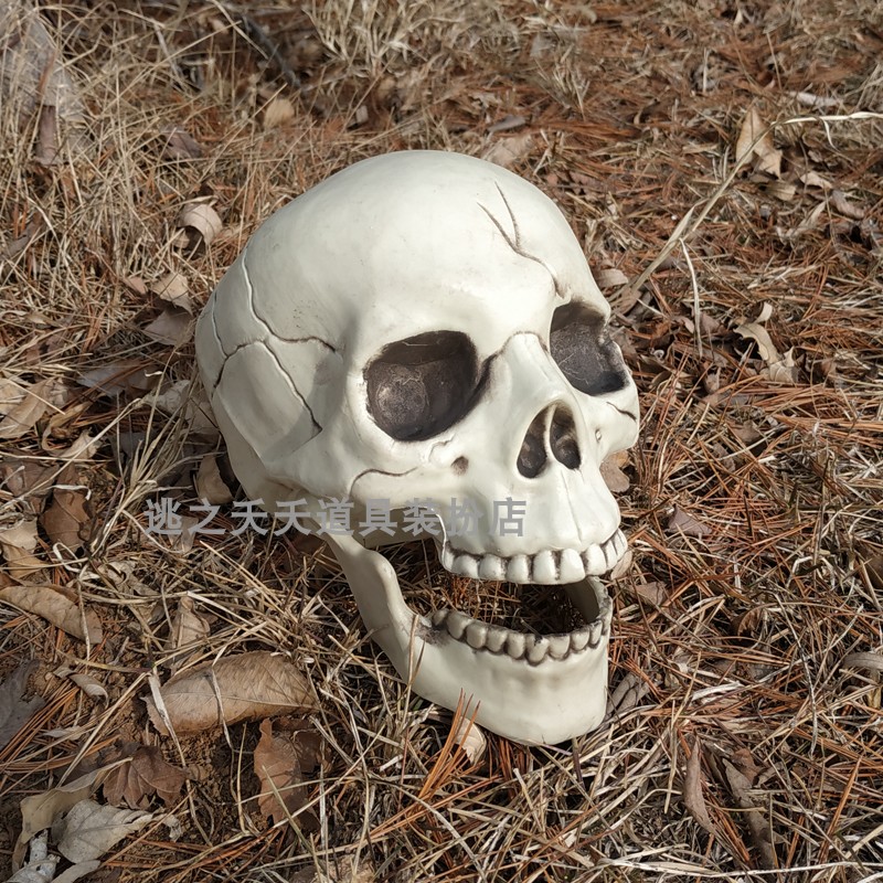 cos Skull skull head prop simulation dead human head model Halloween room escape arranged ghost house decorations hem