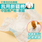 Собачья физиологические штаны тетя сантехнические штаны, подгузники, менструальные женщины, без влажных менструальных домашних собак, преданная сука