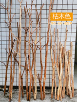 Natural with fork dry branches dead wood decorative partition screen solid wood dead branch hanging clothes pole Nordic window landscaping retro