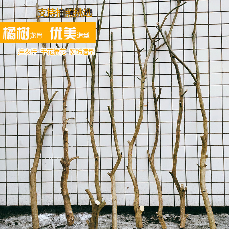 Natural peeled orange tree trunk branches partition retro clothing store display rack clothes pole floor lamp homestay decoration