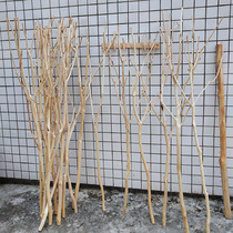 Natural solid wood with branch shape dry branches white branches vase dry flower living room porch window ornaments decorative branches
