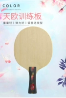 Ракетка для настольного тенниса для тренировок
