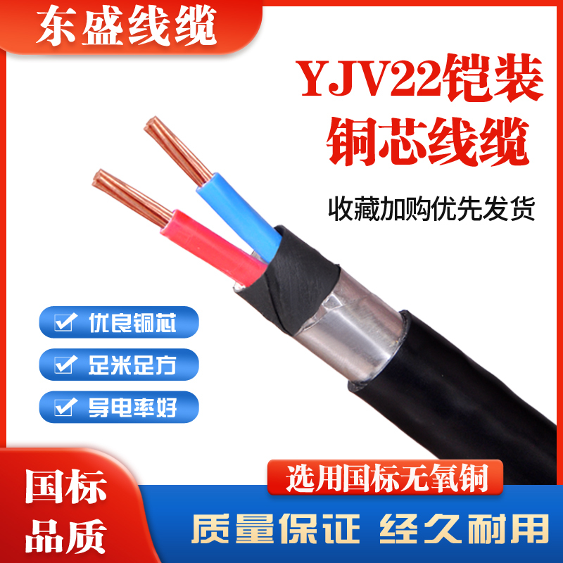 Outdoor 2-Core 4 6 10 16 Square Copper Wire Yjv Yjv22 2 X4X6X10 Armored Cable Rvv Flexible Electrical Wire Outdoor 2-Core 4 6 10 16 Square Copper Wire Yjv Yjv22 2 X4X6X10 Armored Cable Rvv Flexible Electrical Wire