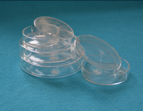 High temperature resistant glass 51 cultured petri dish 35 60 75 90100120150m m high boron silicon thickened petri dish