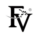FV法维娜化妆品的LOGO