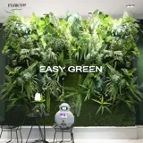 格调印象 Моделирование растения настенные затворы крышка стена Стенная стенка