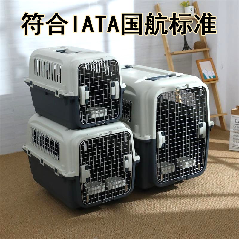 Pet Avionics Box South Sail National Air Standard Kitty aircraft Suitcases Out Cats Bag Large Dogs Airlift Dog Cage