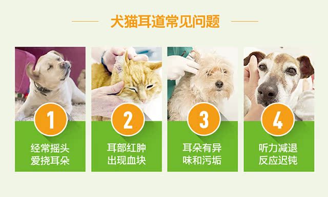 Thú cưng nhỏ tai chó mèo tai nhỏ tai rửa tai chất lỏng sản phẩm sức khỏe thả tai dầu rửa tai khử mùi nước ngứa tai chăm sóc sữa cho mèo sơ sinh