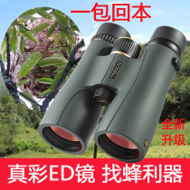 New German Golden Eagle ED professional looking for bees and wasps binoculars waterproof night vision high-definition high-power grazing