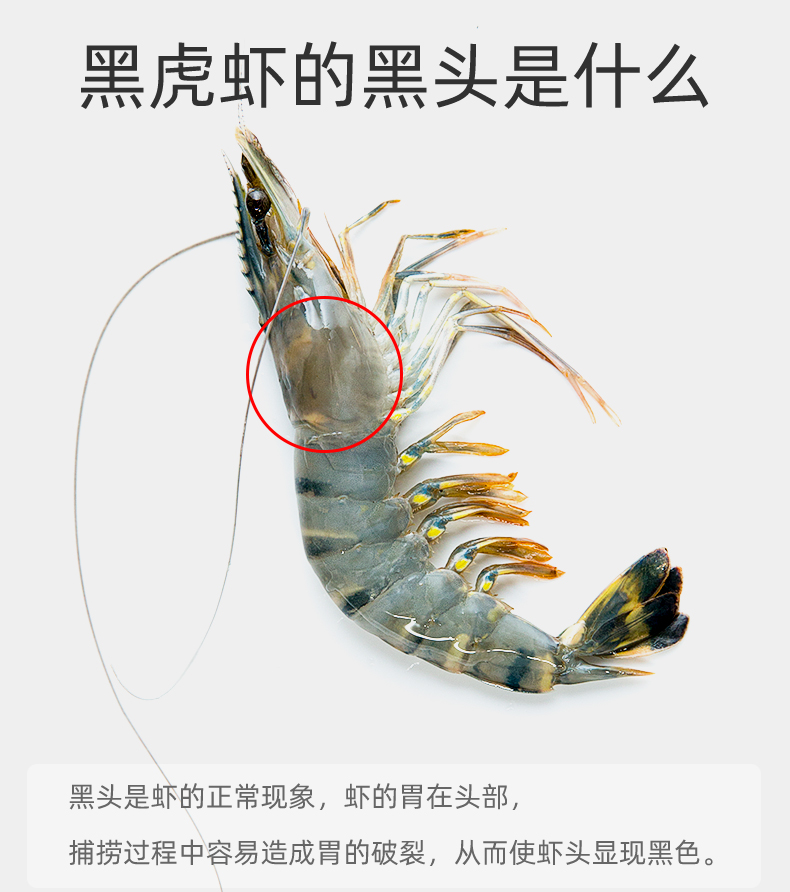 味库 越南黑虎虾 去冰净重1110g 图11