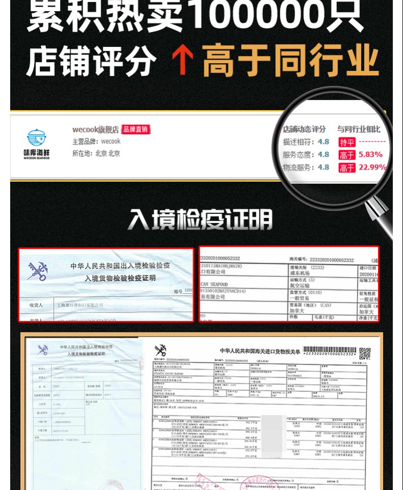 【拍2件】波士顿大龙虾鲜活特大波龙澳龙海