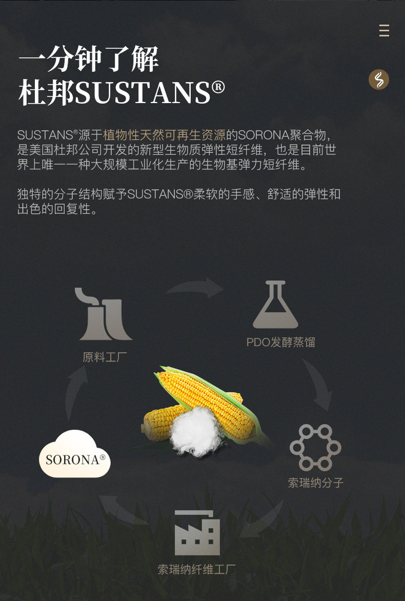 砖叔 汽车头枕 奔驰迈巴赫宝马S级 单只 图3