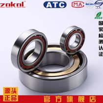 zokol bearing 7020 7021 7022 7219 7220 7221 7224 7228 7324 7328AC