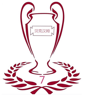 Beckham 7 Trophy Hall Make up the difference Freight postage Various fees Hyperlink 