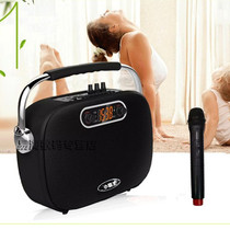 Bully D outdoor square dance sound Portable subwoofer conference teaching K song Bluetooth speaker Wireless microphone