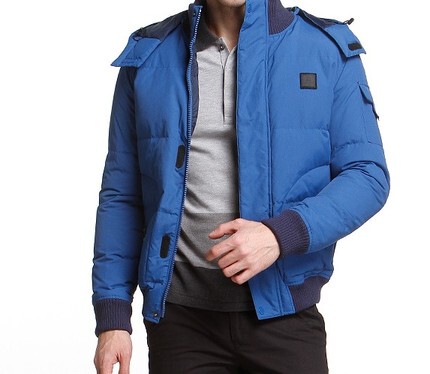 Lacoste French Crocodile Men's Stand-Up Collar Hooded down Jacket down Jacket down Coat Bh6489