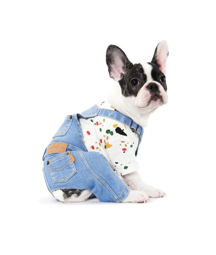 Mùa xuân và mùa hè sơn giật gân áo thun chó quần áo Teddy Hàn Quốc quần áo thú cưng đích thực | Sniff - Quần áo & phụ kiện thú cưng áo dài cho chó