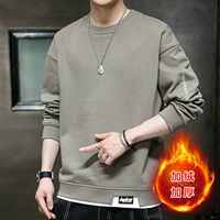 Plove 602 Camel Color