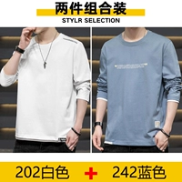 202 белый +242 синий