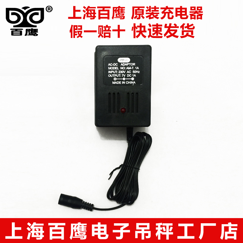 Shanghai 100 Eagle 5 ton 3t10T15 tons suspension Libra Original charger 20 ton 30 ton Wireless Libra 7V1A charger 