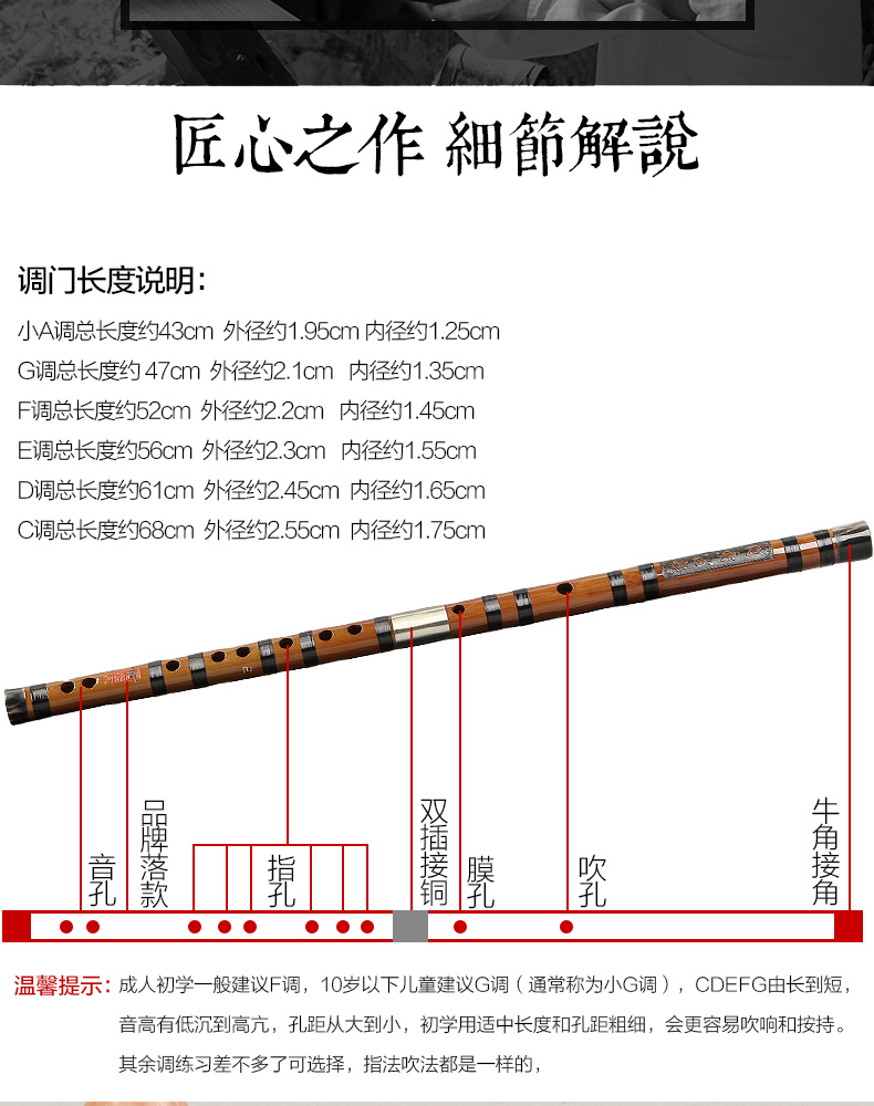 Dong Shenghua Professional thổi sáo trúc sáo chuyên nghiệp sáo tinh chỉnh CDEFG / nhạc cụ quốc gia pipa - Nhạc cụ dân tộc sáo huyên