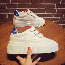  Platform shoes womens thick-soled inner heightening biscuit shoes spring and autumn burst 2021 new ins wild velcro white shoes